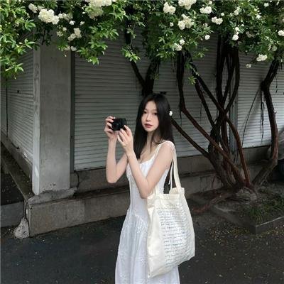 三只流浪猫